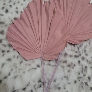 Decorative Dried Palm Leaves - Dusty Pink